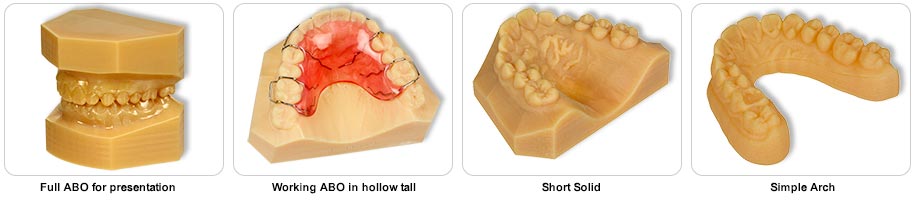 Printed Ortho Models